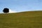 Field on green grass with blue sky in the background without people or a tree in Chile