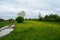 Field of green grass, flowers, plants. Wet country road. Deciduous forest. Cloudy