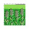 field green plants wheat color icon vector illustration