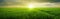 Field of green wheat growing under the warm rays of sunset, rural landscape panorama. Generative AI illustration
