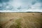 Field of Harvested Wheat and Rolls of Straw