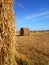 Field with harvested wheat in stacks