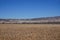 Field after harvesting corn