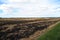 A field that has been burned to clear crop residue.