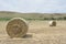 Field of Hay Bales