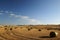 Field of hay, Barossa Valley