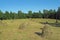 Field with haystacks and forest in the background, rural landscape, Sweden