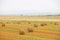 Field with haystacks. Russian open spaces. Dry grass twisted into stacks