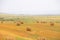 Field with haystacks. Russian open spaces. Dry grass twisted into stacks