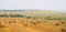 Field with haystacks. Russian open spaces. Dry grass twisted into stacks