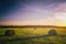 A field with haystacks on a summer or early autumn evening with a cloudy sky in the background. Procurement of animal