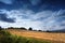 Field with hewed corn and clouds