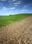 Field with hewed corn and clouds