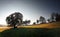 Field with hewed corn and clouds