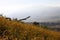 Field Hill Plant of yellow flowers Mountains landscape morocco