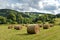 Field on a hilly landscape