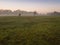 Field with horse. Countryside foggy morning. horse grazes in a clearing with a mill. Beautiful rural mood scene