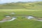 FIELD AT HULUNBEIR CHINA GREEN SHEEP BLUE RIVER