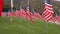 A field of hundreds of American flags.