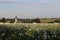 Field with Kostel svateho Augustina in Strahovice village North Moravia, Silesia, Czech republic