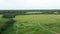 Field with lake trees shot on a drone