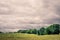 Field landscape with cloudy weater