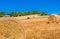 Field landscape with straw rolls bales