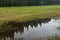 Field landscape with trees crown reflection in water