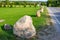 Field with large boulders