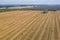 a field lie numerous bales of straw