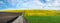 field lines of dirt road in arable land and rape flower field landscape