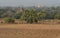 The field with many temples in Bagan, Myanmar