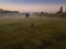 Field with mills and horse pasture. Ukrainian village. authentic rural atmosphere