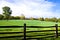 Field in Morning Light