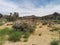 Field, mountains, Joshua trees and sky