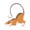 Field Mouse as Small Rodent with Long Tail and Dorsal Black Stripe Vector Illustration