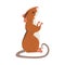 Field Mouse Standing on Hind Legs, Red Rodent Animal with Black Stripe on Its Back Vector Illustration