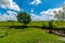 Field with a muddy river and trees on a cloudy and sunny day