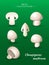 Field mushroom. Champignons