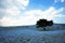 Field of Nemophila