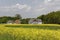 field with old houses in May, Hilter, Osnabrueck country region, Germany