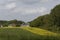 field with old houses in May, Hilter, Osnabrueck country region, Germany