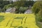 field with old houses in May, Hilter, Osnabrueck country region, Germany, Europe