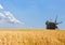 Field old windmills wheat harvest