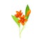 Field orange flowers. Elegant floral design element vector illustration