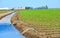 Field of Organic Crop Irrigation