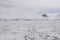 Field of pack ice, Antarctica