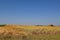 Field of partially harvest and baled oats