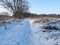 Field path covered with snow in a reed area in Mecklenburg-Western Pomerania