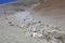 Field of penitentes along the road from La Casualidad to Mina Julia, Puna de Atacama, Argentina